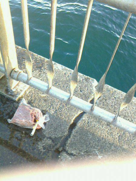 またまた行ってしまいました